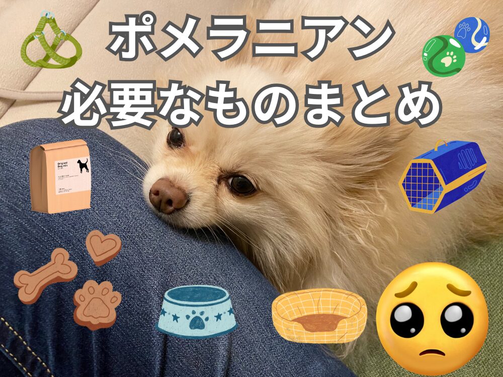 保護犬ポメラニアンの備忘録ブログ