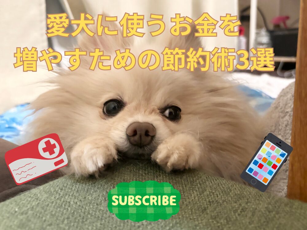 愛犬にお金をかけたい人のための節約方法3選！固定費を見直して愛犬に使えるお金を増やそう！